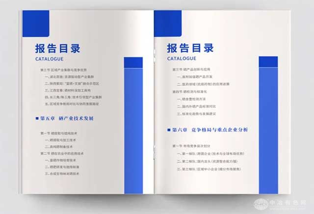 硒产业报告2025