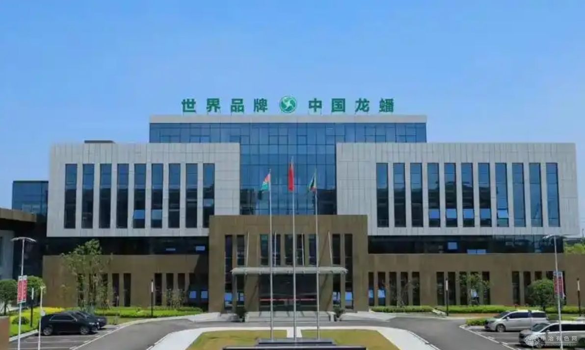 龙蟠科技斩获50亿海外大单 磷酸铁锂材料加速全球化布局
