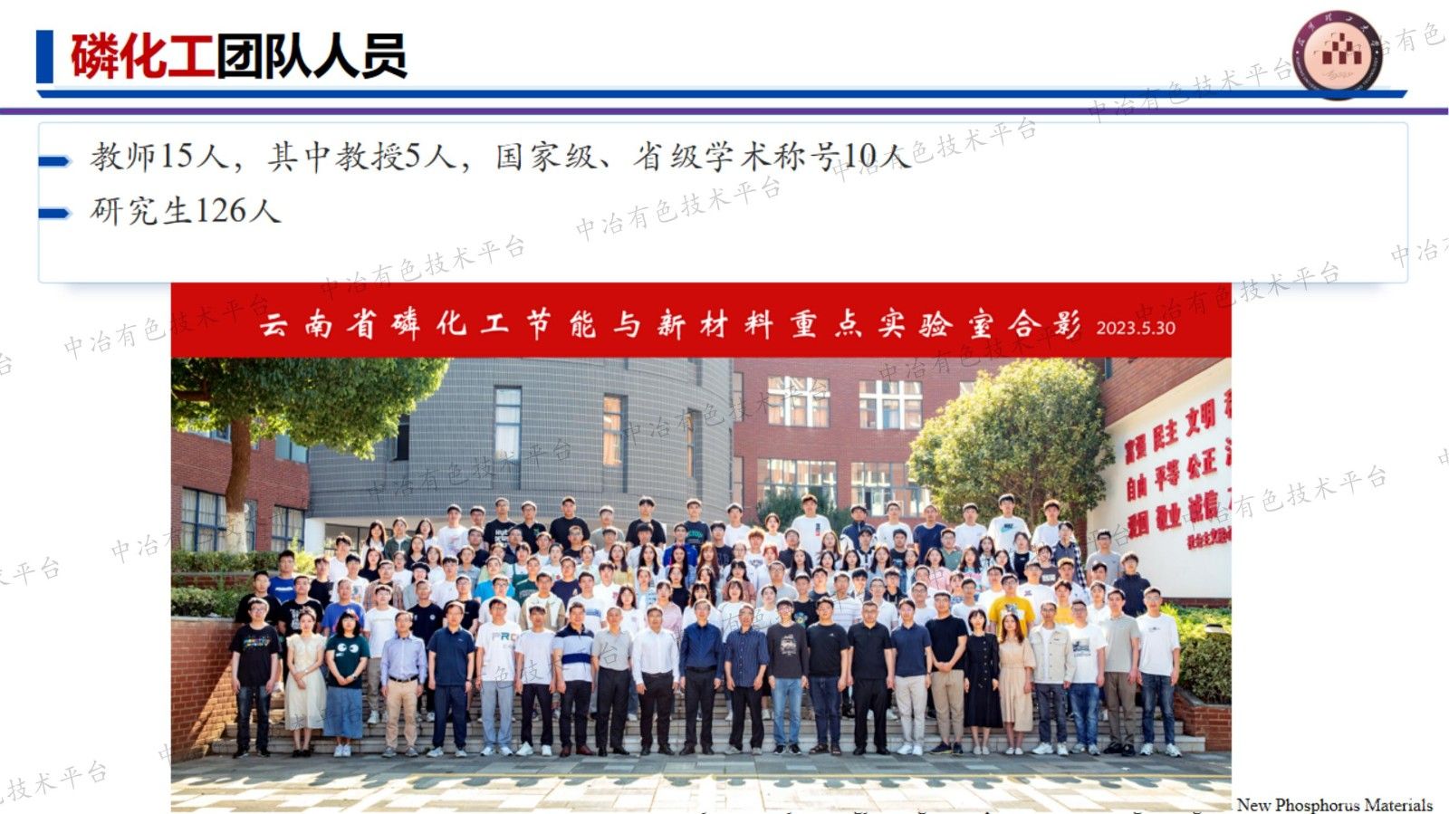 黑磷基高效阻燃剂的构建及应用