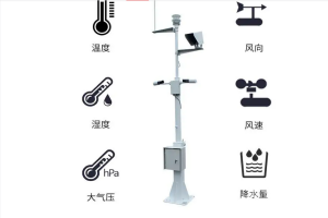  维仪利诚