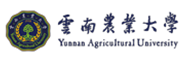 云南大学