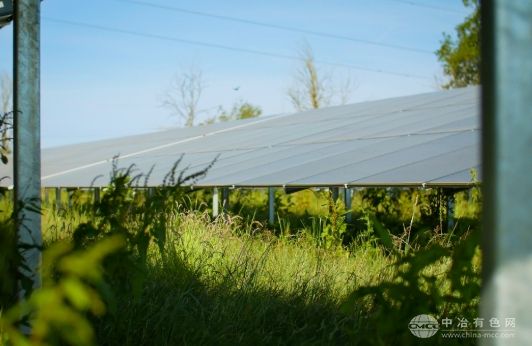 隆基与Cero Generation强强联手，英国首座BC地面电站正式启动