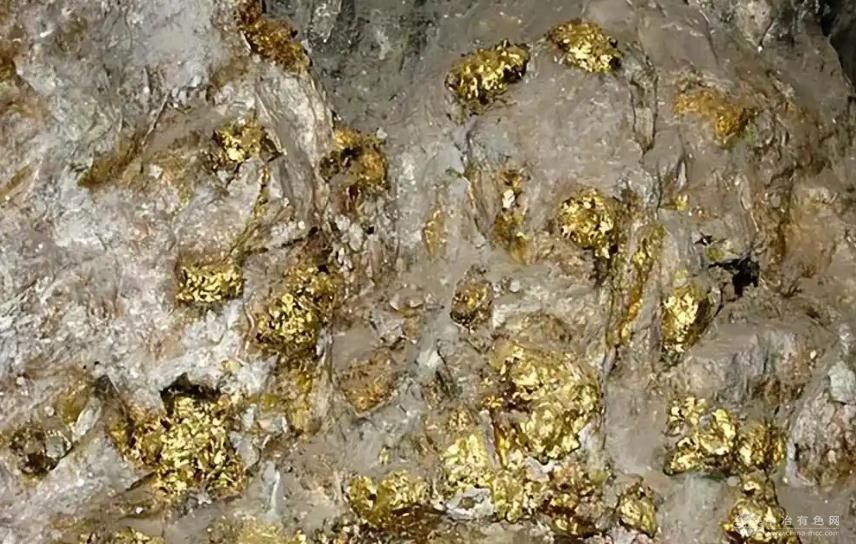 圭亚那奥麦金矿钻探成果亮眼 维诺特矿床潜力凸显