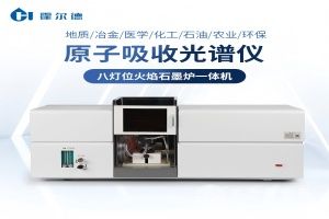  霍尔德·电子