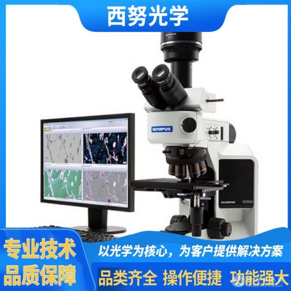 奥林巴斯