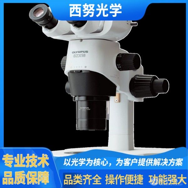 奥林巴斯