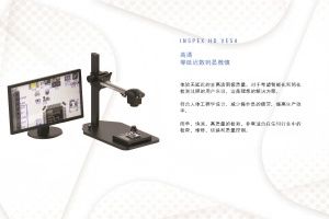 荷兰ASH