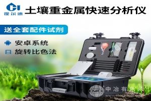  霍尔德·电子