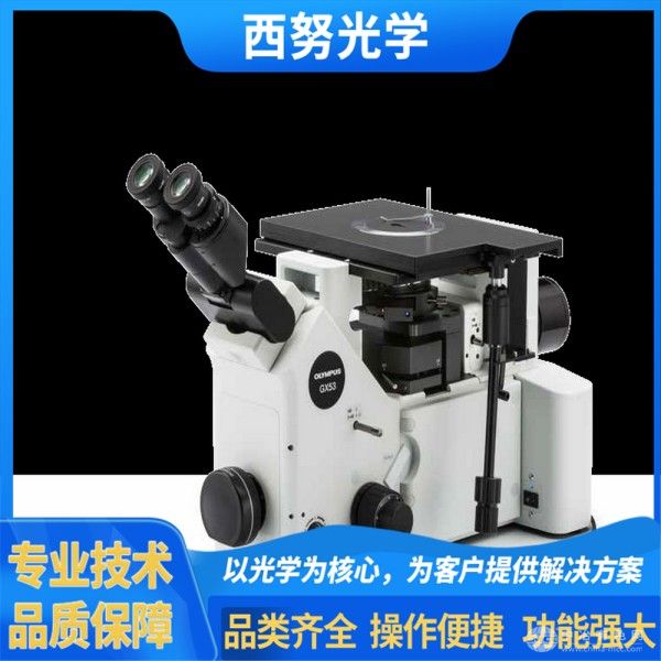 奥林巴斯
