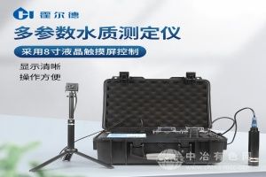  霍尔德·电子