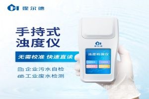  霍尔德·电子