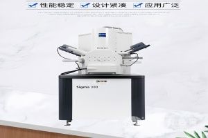 福佰特