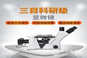  乐迪