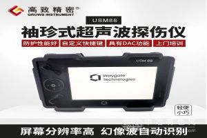 美国 Waygate