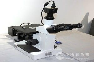  卓泰