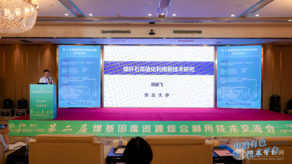 东北大学 邢鹏飞 教授
