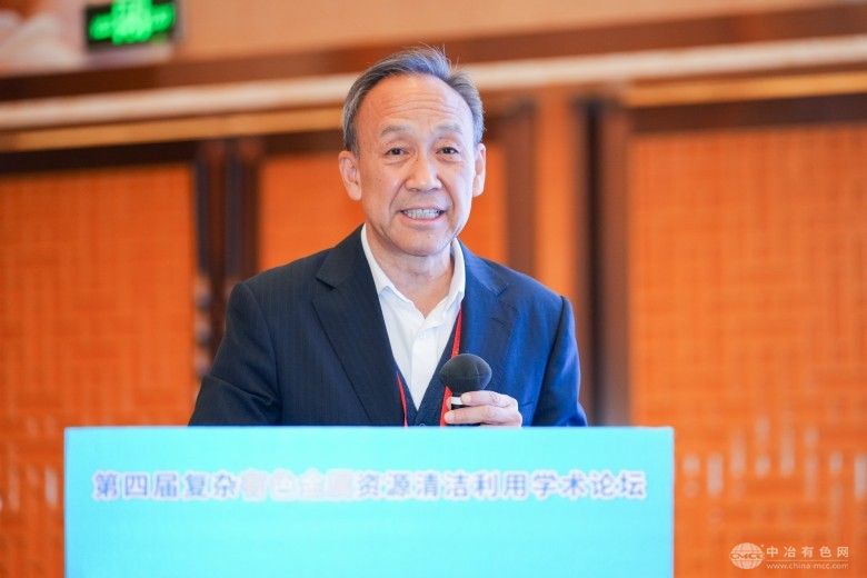 第四届复杂有色金属资源清洁利用学术论坛 现场照片