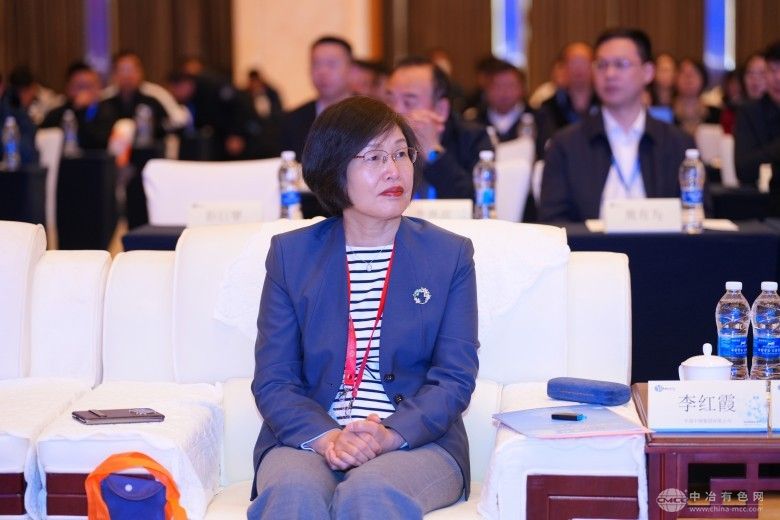 第四届复杂有色金属资源清洁利用学术论坛 现场照片