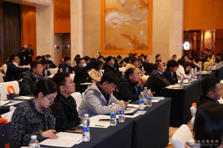 第四届复杂有色金属资源清洁利用学术论坛 现场照片