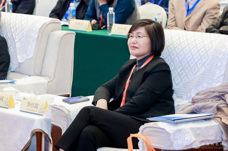 2025绿色低碳冶金技术创新大会 现场照片