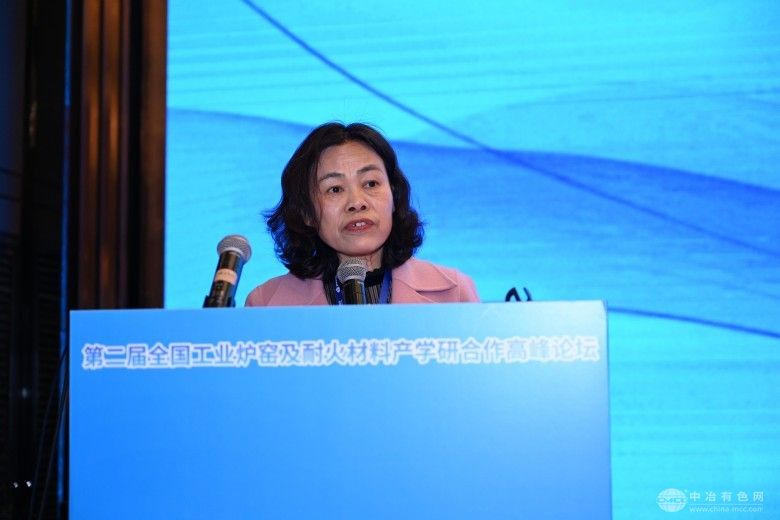 第二届全国工业炉窑及耐火材料产学研合作高峰论坛 现场照片