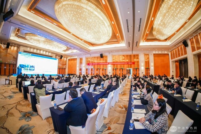 第四届复杂有色金属资源清洁利用学术论坛 现场照片