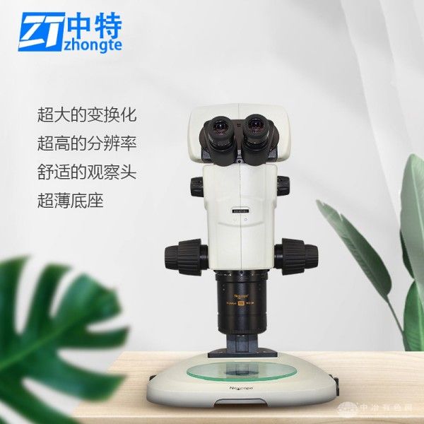 中特