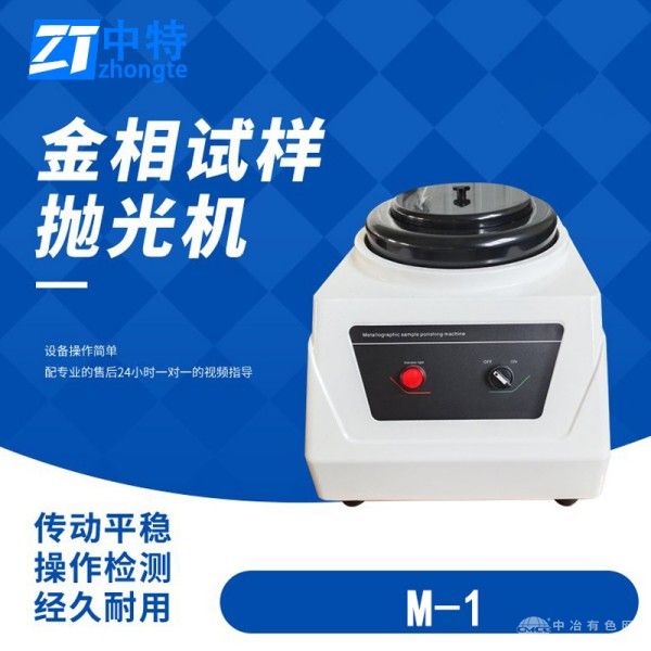 中特