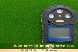 矿用多参数气体检测报警仪