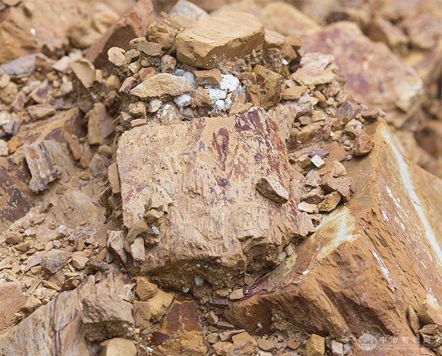 澳大利亚流星资源获准在巴西建设稀土试验工厂