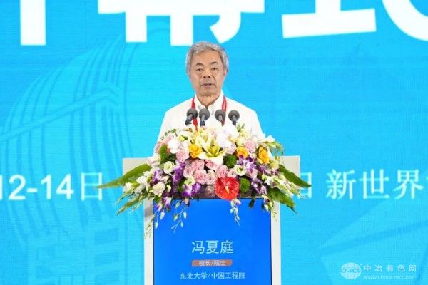 东北大学校长、中国工程院院士、大会主席冯夏庭