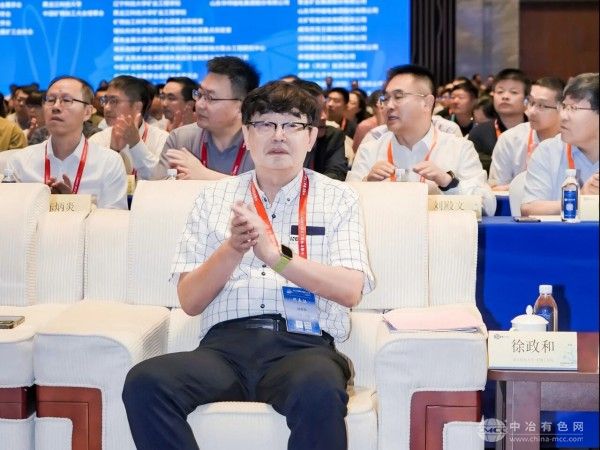 中国工程院外籍院士、南方科技大学徐政和教授
