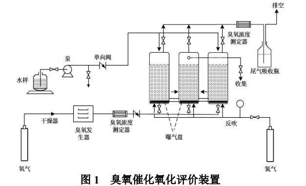石化污水处理臭氧催化氧化技术