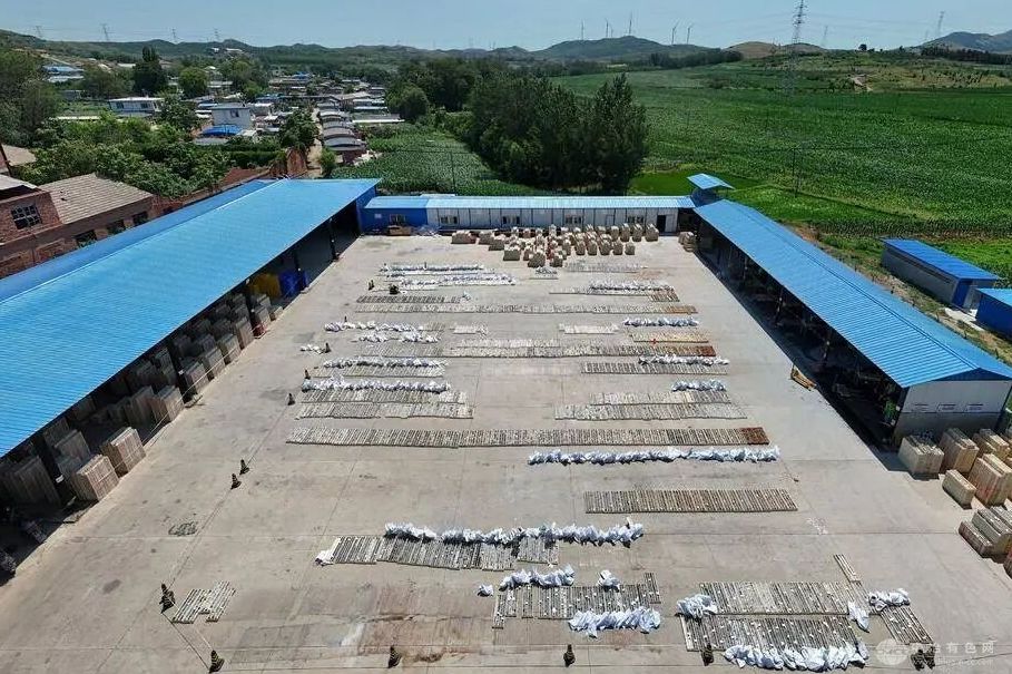 重磅！辽宁地矿集团探获一巨型金矿，资源量高达1500吨