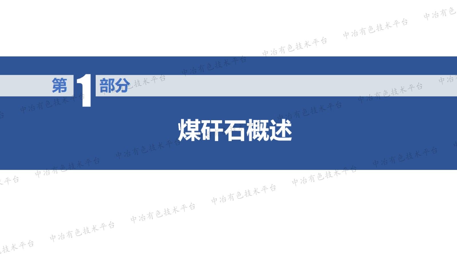 煤矸石制备橡胶塑料高性能填料的研究现状及未来展望