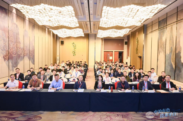 第二届中国钠锂电池材料大会