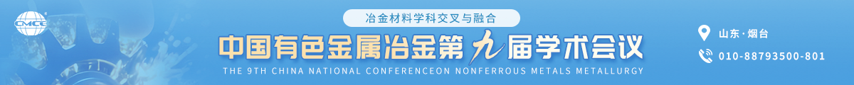 中国有色金属冶金第九届学术会议