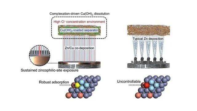 AFM：Zn/Cu共沉积诱导动态界面重构实现稳定锌金属电池