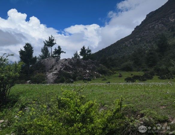 科技创新助力青藏高原生态屏障建设