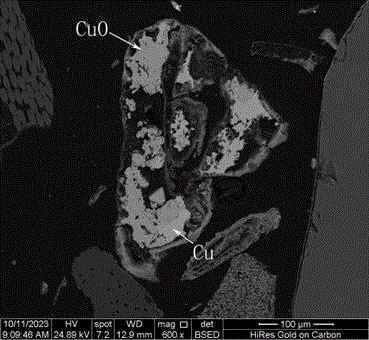 提铜药剂体系及其从废弃印刷电路板中回收铜的方法